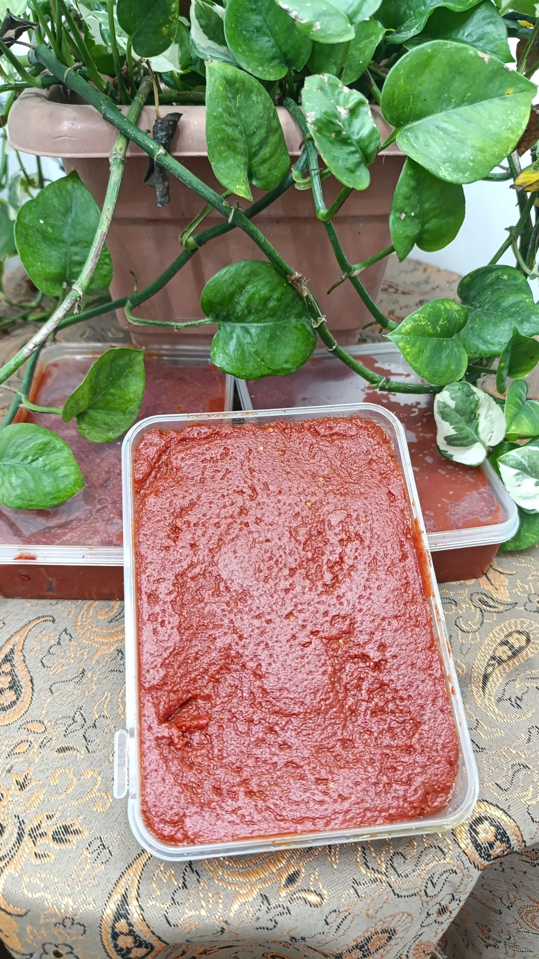 رب گوجه خونگی
